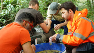 Les techniciens recherchent dans les tamis les éventuels invertébrés prélevés dans la rivière, l'un d'eux en met un dans un tube contenant une solution alcoolisée pour la conservation.